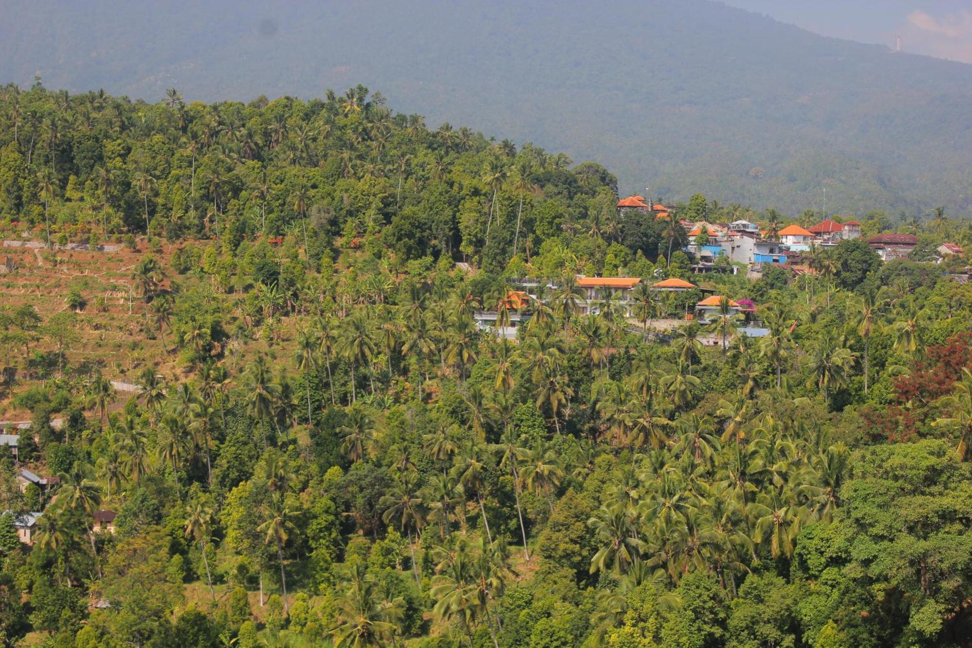 Rostika Hotel Sekumpul Pabean Buleleng Kültér fotó